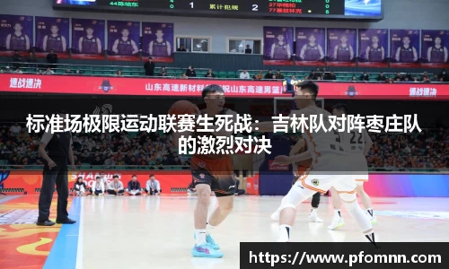 BB贝博登录入口