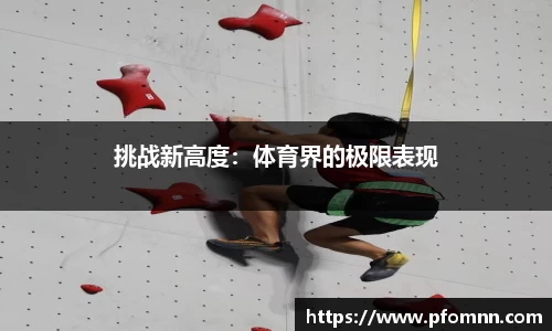 挑战新高度：体育界的极限表现