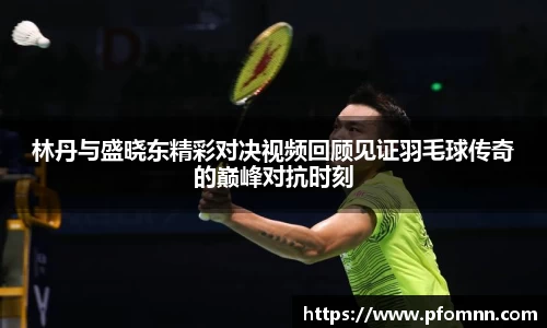 林丹与盛晓东精彩对决视频回顾见证羽毛球传奇的巅峰对抗时刻